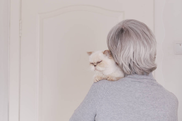 Een grijsharige oudere vrouw in een grijze coltrui heeft een schattige beige spinnen kat op haar schouder. Het uitzicht vanaf de achterkant. Het moment van levensstijl. Liefde concept - Foto, afbeelding