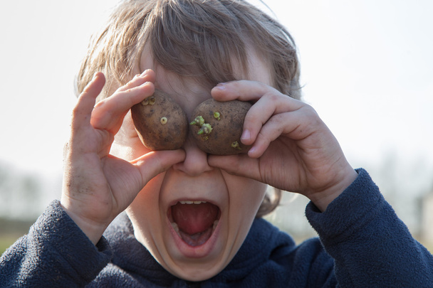 Portret van jongen met aardappelen - Foto, afbeelding
