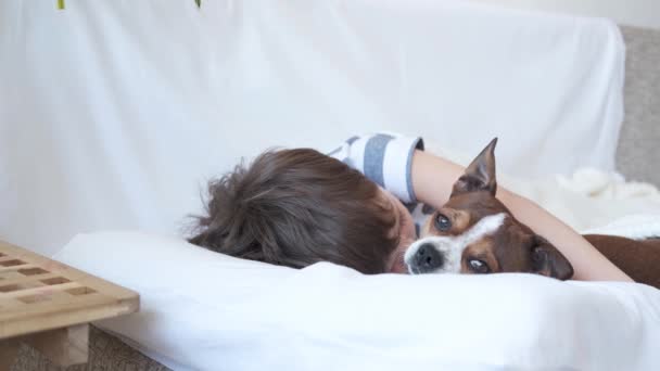 4k. Дошкольник обнимает милую чихуахуа-собаку в белой кровати.  - Кадры, видео