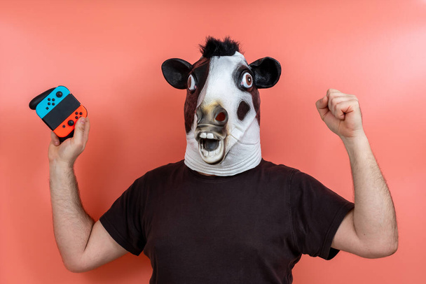 ピンクの背景のビデオゲームで勝利を祝うジョイスティックで牛の姿をした人 - 写真・画像
