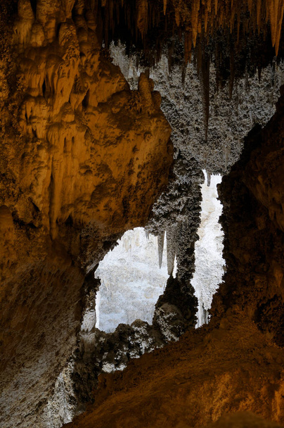 Stalactites in the Big Room, Carlsbad Caverns National Park, New Mexico, USA - Photo, Image