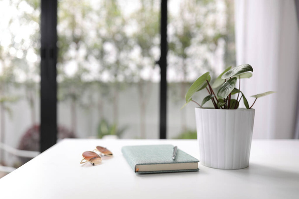 Muistikirja kasvi ja aurinkolasit vihreä kannettava valkoinen puinen pöytä sisustus talo - Valokuva, kuva