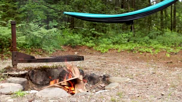 Bonfire closeup in the woods. Hammock hanging on the trees on the background. - Footage, Video