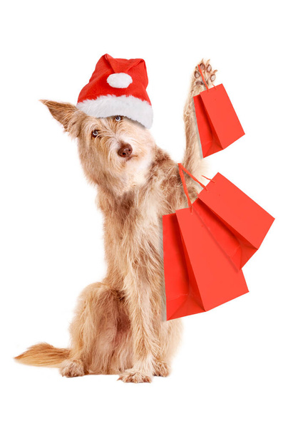 Pes s vánoční klobouk a nákupní tašky izolované na bílém pozadí - Fotografie, Obrázek