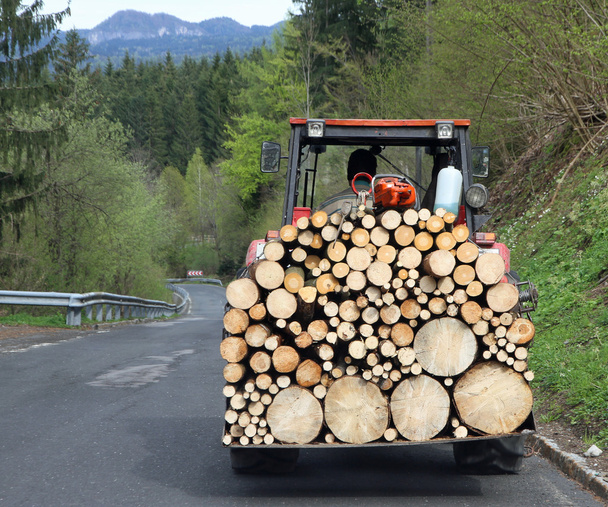 tractor transport a full load of wood 1 - Photo, Image