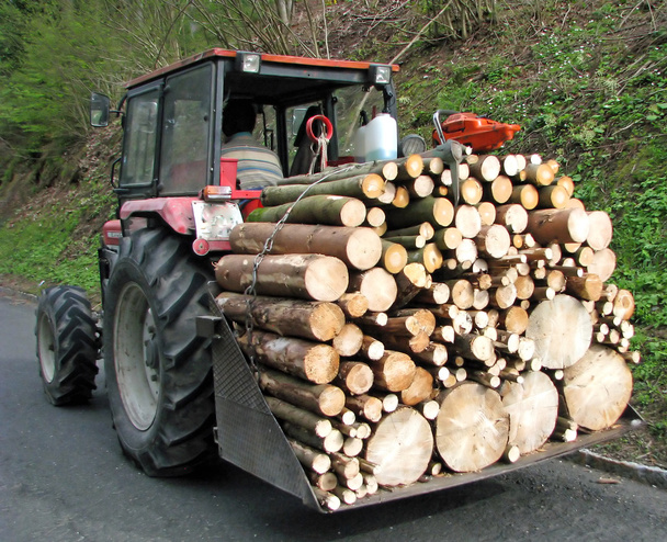 тракторный транспорт с полной загрузкой древесины 2
 - Фото, изображение