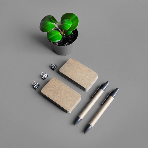 Blanco kraftpapier op grijze papieren ondergrond. Visitekaartjes, pennen en planten. Model voor merkidentiteit. - Foto, afbeelding