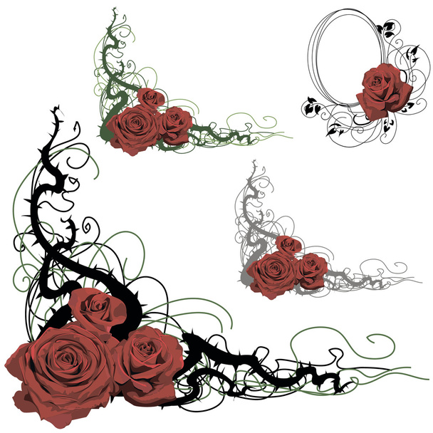 Set floraler Gestaltungselemente mit Rosen - Vektor, Bild