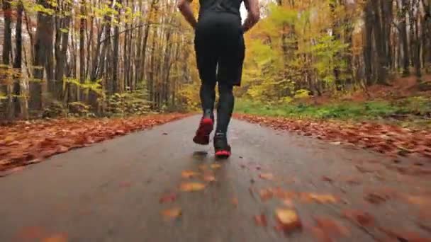 Ammun juoksevan urheilijan jalkoja. Juoksuharjoittelua syksyn metsässä. Ammun takaapäin. 4K - Materiaali, video