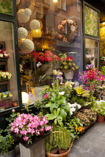 Flower shop - Photo, Image