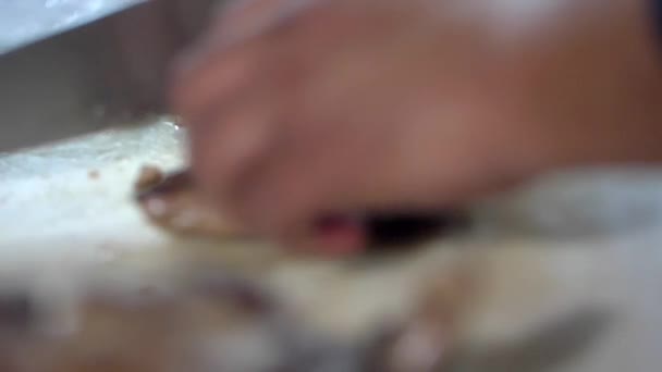 Cucini mani lentamente affettando un pezzo di carne - Filmati, video