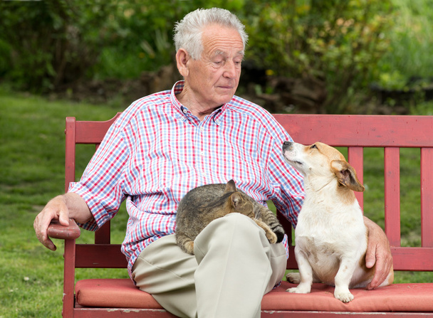 Старший чоловік з домашніми тваринами
 - Фото, зображення