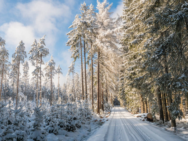 Verschneite Straße im Winterwald mit schneebedeckten Fichten Brdy-Gebirge, Hügel in der Mitte der Tschechischen Republik, sonniger Tag - Foto, Bild