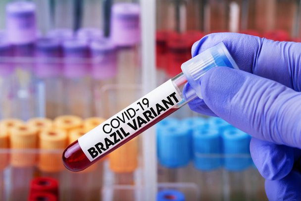 Врач в лаборатории держит трубку крови, идентифицированную с этикеткой Covid-19 Brazil Variant / Laboratory Technician с образцом крови с новым бразильским вариантом коронавируса - Фото, изображение