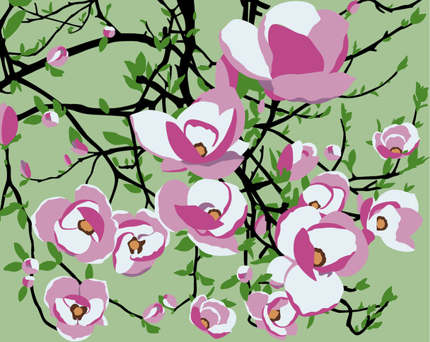 magnolias - Διάνυσμα, εικόνα