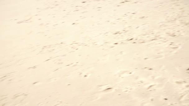 Laughing Boy running on sandy beach - Záběry, video