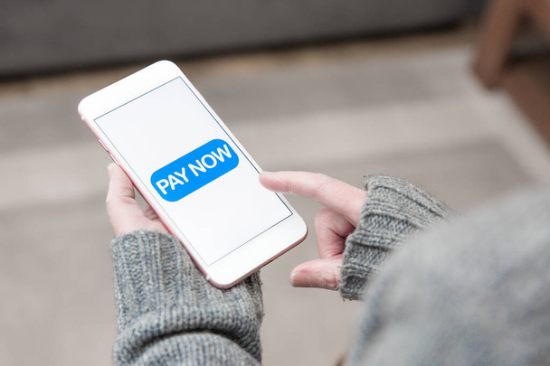 Cep telefonu tutan ve Pay Now simgesini dinleyen bir kız online alışveriş için ödeme yapıyor. - Fotoğraf, Görsel