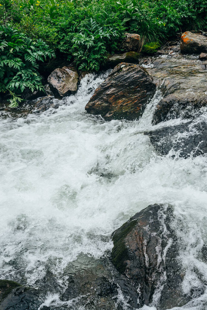 山の川の水の急流で大きな石と美しい風景。急流と山の小川の岩の間で強力な水の流れ。高地の小川の岩の間の速い流れ。小さな川のクローズアップ - 写真・画像