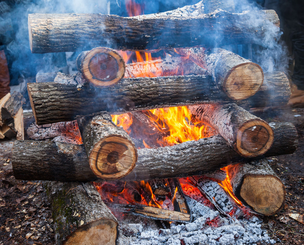 Closeup of hot burning firewood in campfire - Photo, Image
