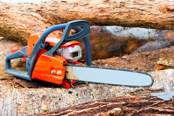 chainsaw closeup on a felled forest - Foto, Bild