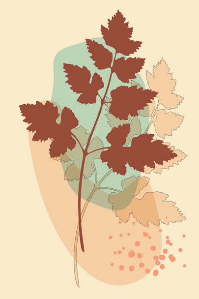 Vektorový botanický plakát, minimalistický boho styl, listy větev, abstraktní tvary, barevné hliněné palety - Vektor, obrázek