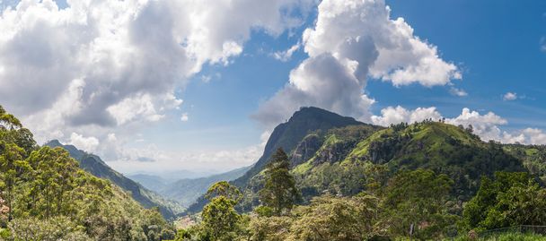 Панорама Эллы Гэп в Шри-Ланке
 - Фото, изображение