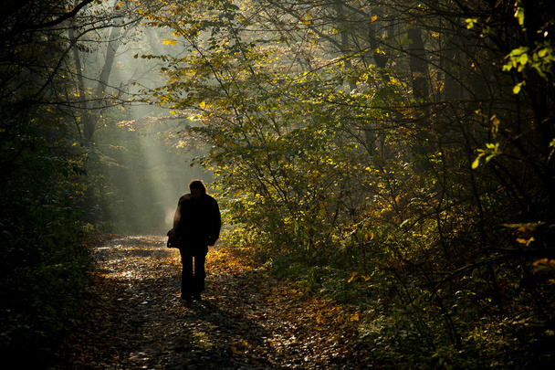 silhueta homem andando na estrada da floresta de outono à luz do
 - Foto, Imagem
