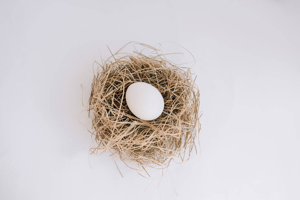 Wit ei in het nest op een witte achtergrond - Foto, afbeelding