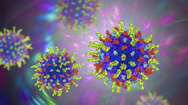 Вірус простого герпесу, 3D ілюстрація
 - Фото, зображення