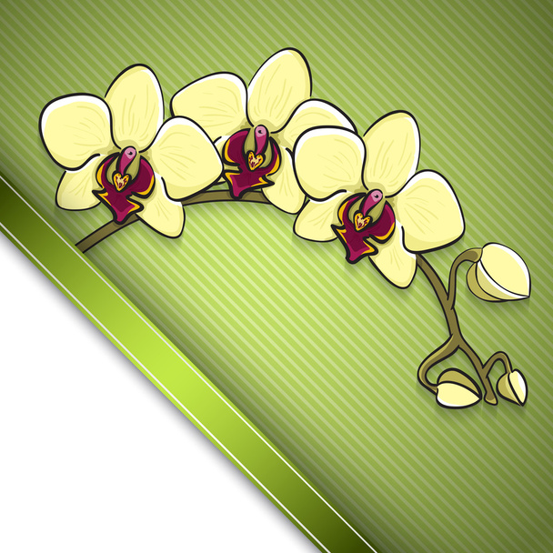 Schizzo sfondo orchidea
 - Vettoriali, immagini