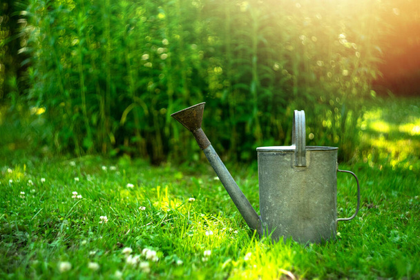 Un innaffiatoio in metallo si trova nel giardino a terra vicino al lettino da giardino su uno sfondo verde - Foto, immagini