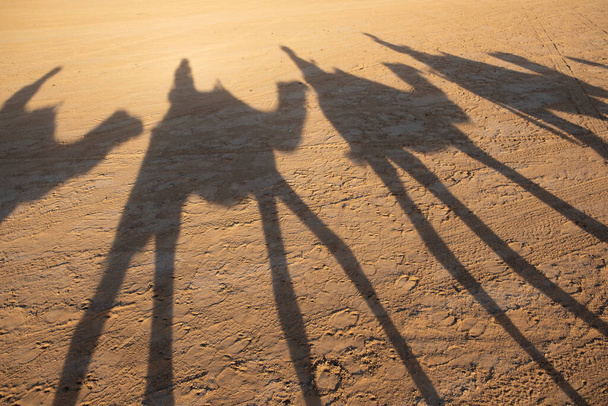 Passeios de camelo para turistas em Merzouga, Marrocos - Foto, Imagem