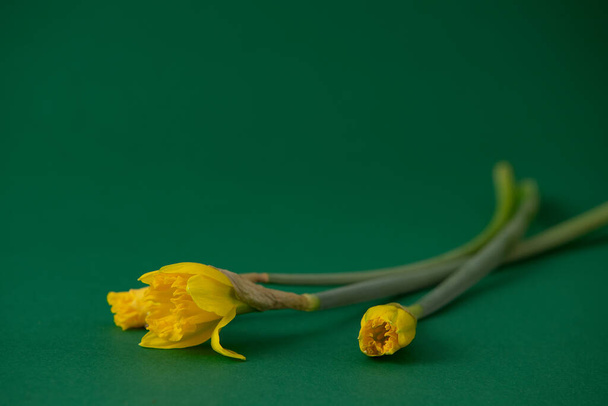 bouquet di fiori gialli in vaso sullo sfondo - Foto, immagini