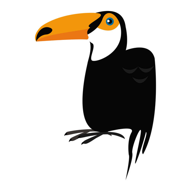 exotický pták Tukan - Vektor, obrázek