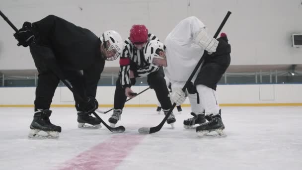 Slow-motion zoom-in footage of official dropping hockey puck and players of opposing teams attempting to take control over it - Footage, Video