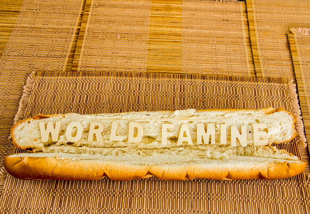 Mot famine mondiale sur baguette avec fond bois - Photo, image