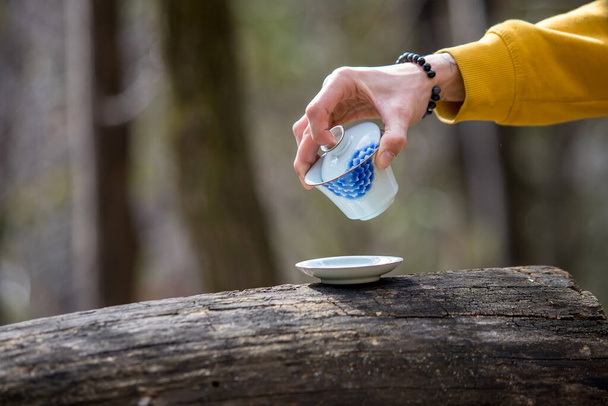 Käsi tilalla gaiwan teetä seremonia yli lautanen  - Valokuva, kuva