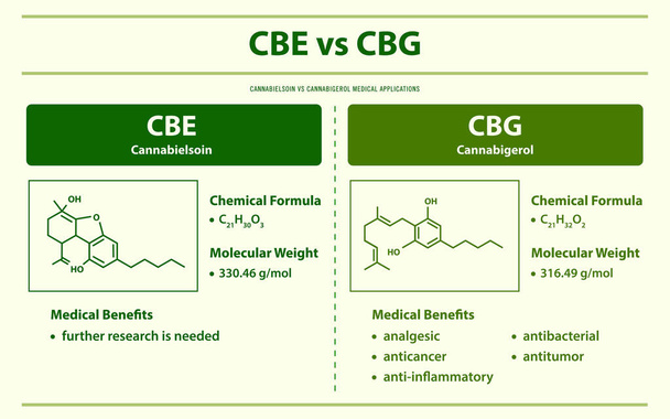 CBE vs CBG, Cannabielsoin vs Cannabigerol horizontális infografikai illusztráció a kannabisz, mint gyógynövény alternatív gyógyászat és kémiai terápia, egészségügyi és orvostudományi vektor. - Vektor, kép