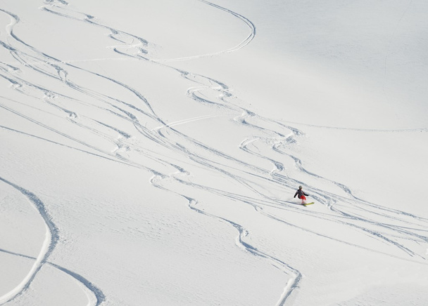Skier - Photo, Image