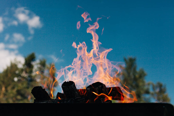 Vlam van cmapfire buiten met blauwe lucht op de achtergrond. Bonfire - Foto, afbeelding