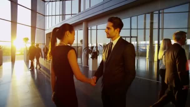 Empresário e mulher de negócios se encontram e apertam as mãos
 - Filmagem, Vídeo