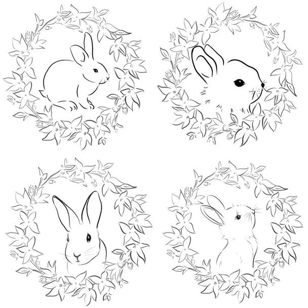 Ручний малюнок кролика, Векторні ілюстрації
 - Вектор, зображення