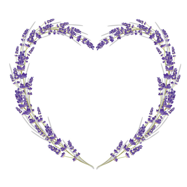 Красивая цветочная форма сердца лаванды. Открытка от Валентина. Любовный подарок. Векторная иллюстрация - Вектор,изображение