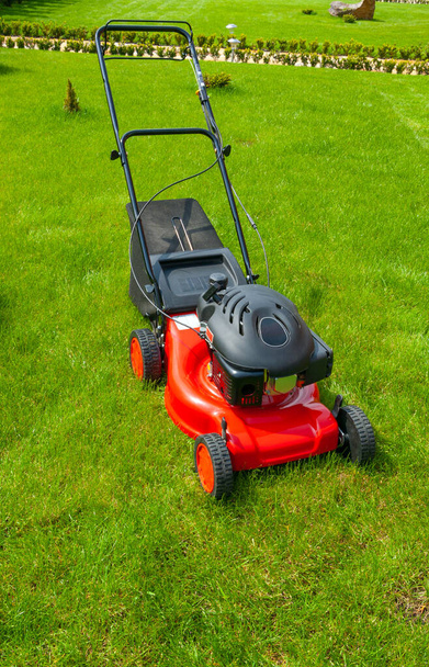 Lawn mover on green grass in sunny day. - Photo, Image