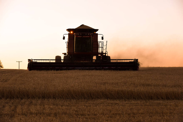 Harvester machine, harvesting in the Argentine countryside, Buen - Photo, Image