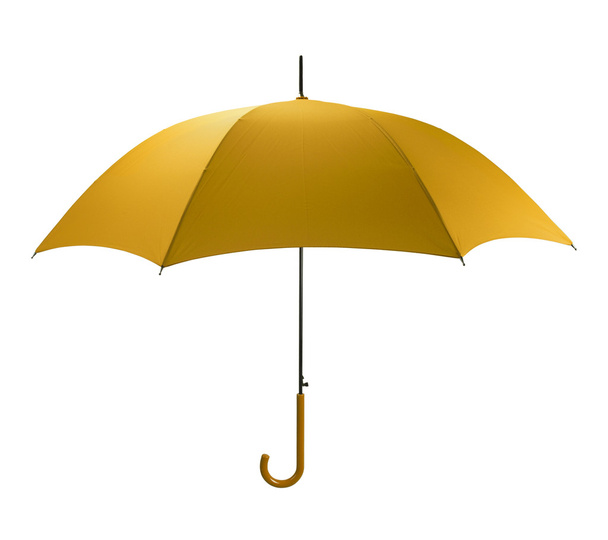 žlutý deštník - Fotografie, Obrázek