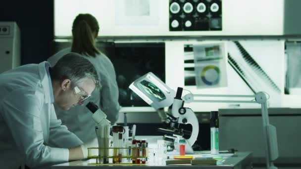 Investigadores trabajando juntos en laboratorio
 - Metraje, vídeo