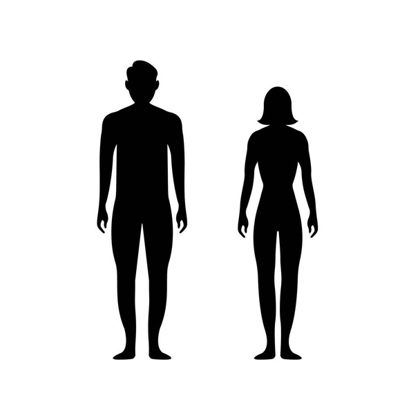 Black silhouettes of men and women on a white background. Male and female gender. Figure of human body. Vector - Vector, Image