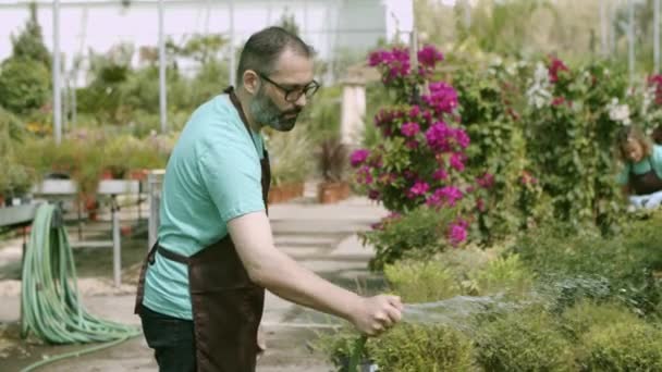 Üvegház férfi professzionális öntözőnövények tömlőből - Felvétel, videó