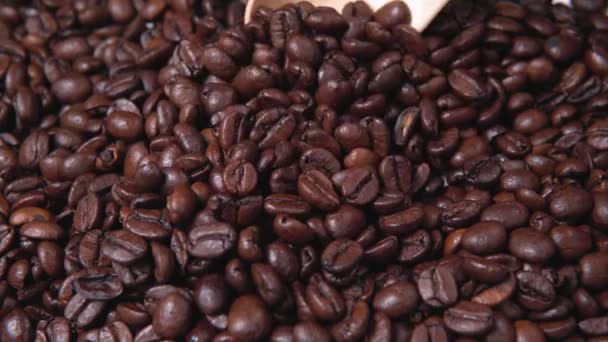 Sült kávébab. Illatos kávébab közelkép. fa kanál veszi kávébab - Felvétel, videó
